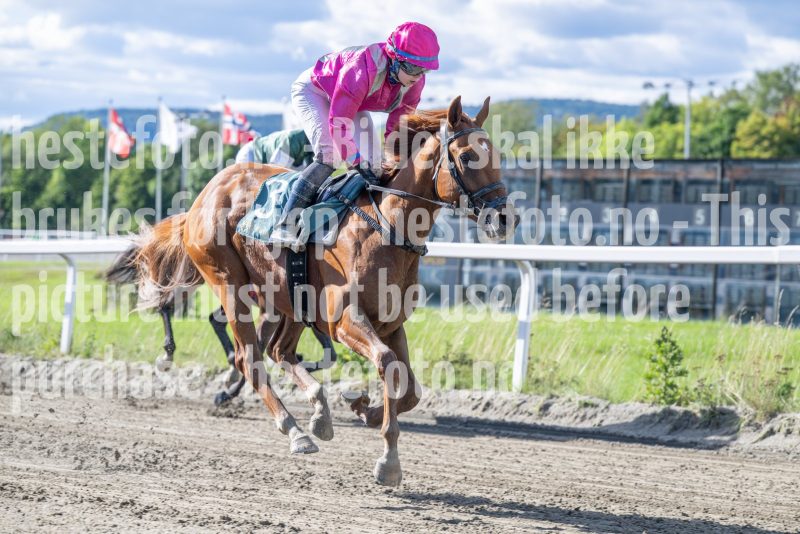 20250917-140847-DSC_4407