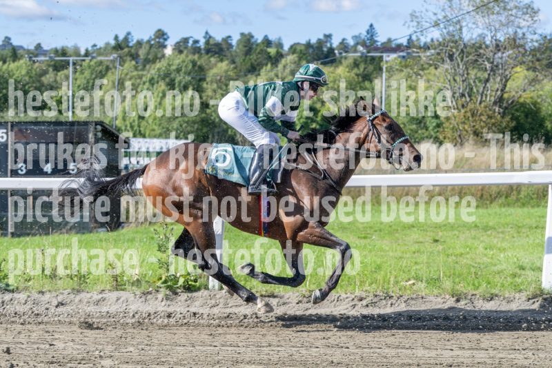 20250917-140848-DSC_4423