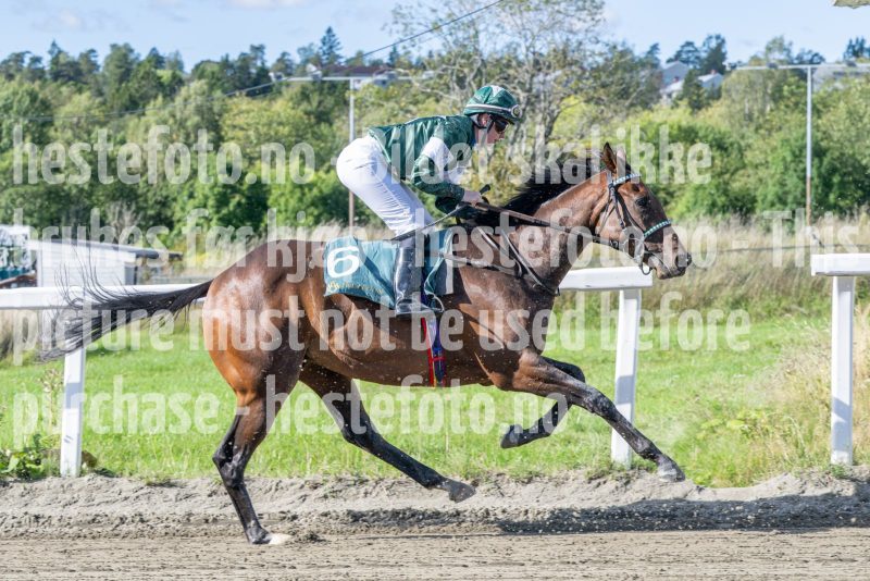 20250917-140849-DSC_4425