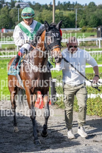 20250917-141345-DSC_4484