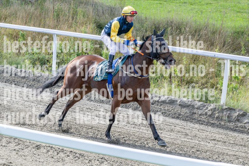 20250917-142543-DSC_4611