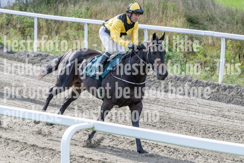 20250917-142544-DSC_4623