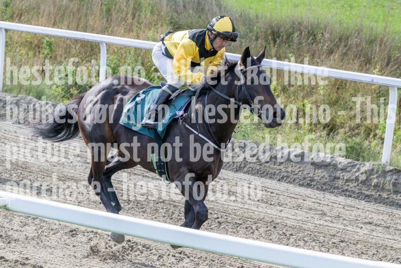 20250917-142544-DSC_4626