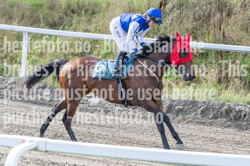 20250917-142545-DSC_4639