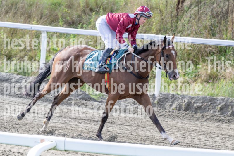 20250917-142547-DSC_4651