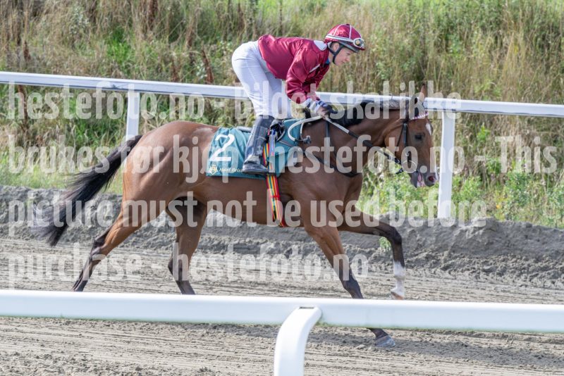 20250917-142547-DSC_4659