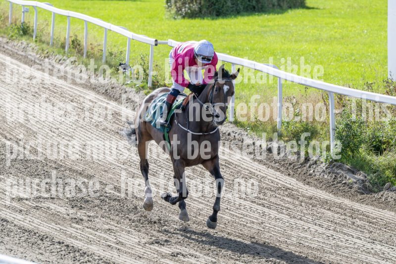 20250917-142612-DSC_4679