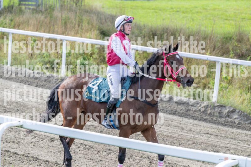 20250917-142655-DSC_4746