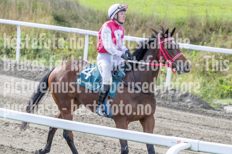 20250917-142655-DSC_4749