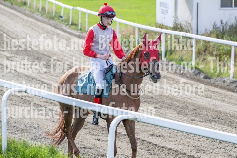 20250917-142659-DSC_4765