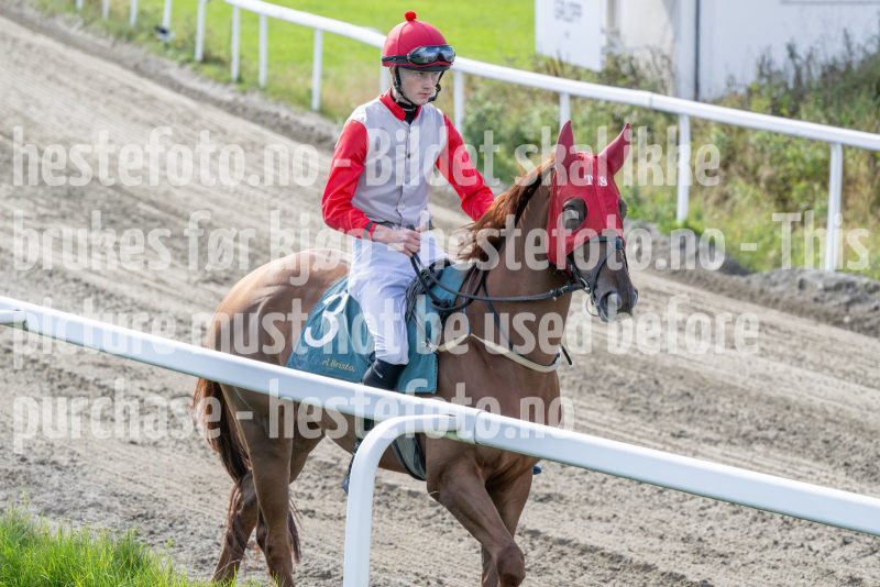 20250917-142659-DSC_4768