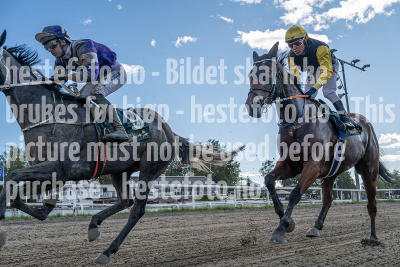 20250917-143401-DSC_6988