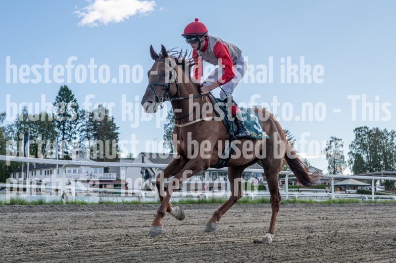 20250917-143425-DSC_7054