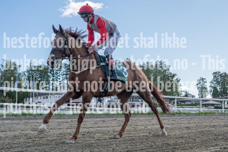 20250917-143425-DSC_7055