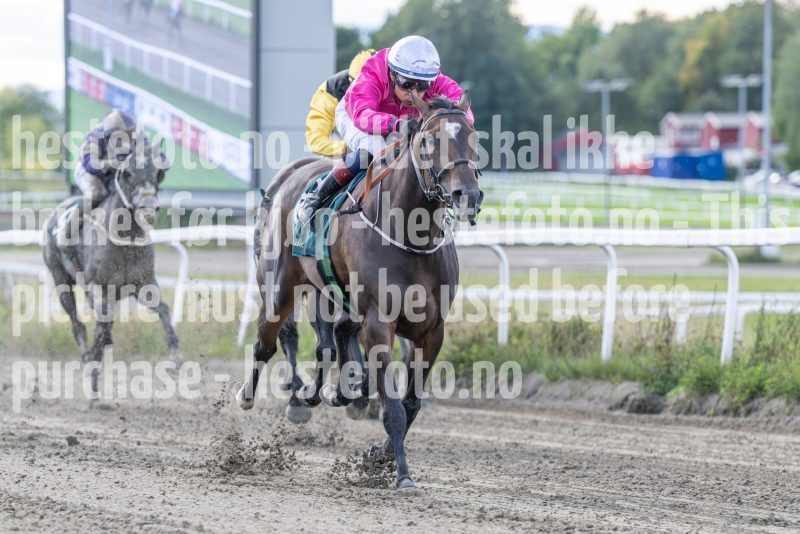 20250917-143433-DSC_4822