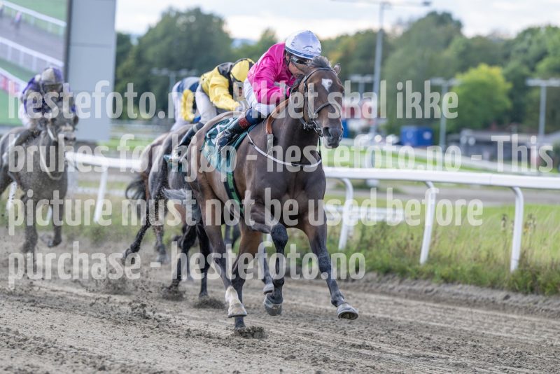 20250917-143433-DSC_4827