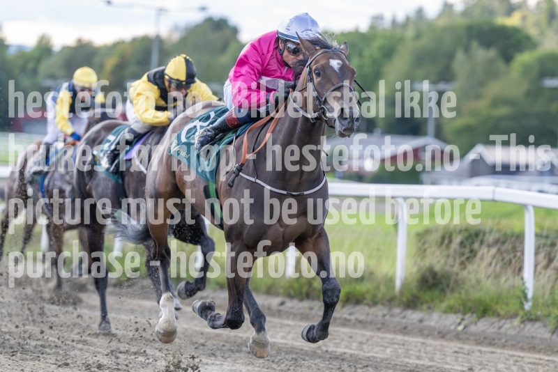 20250917-143433-DSC_4833