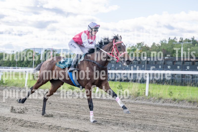 20250917-143439-DSC_4888