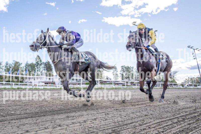 20250917-143447-DSC4437