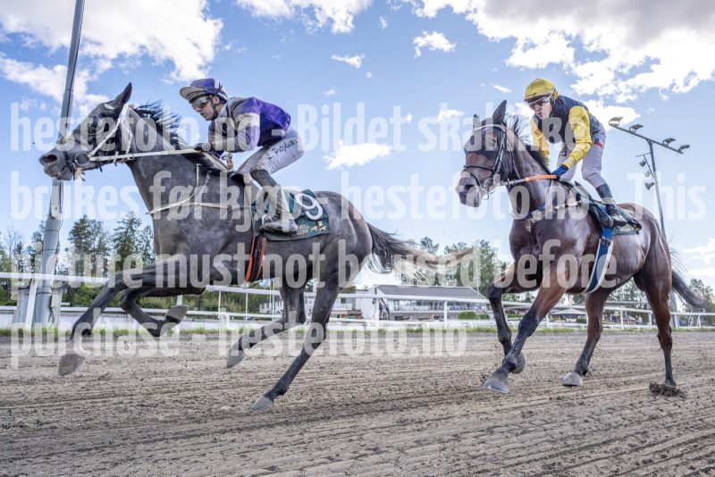 20250917-143447-DSC4438