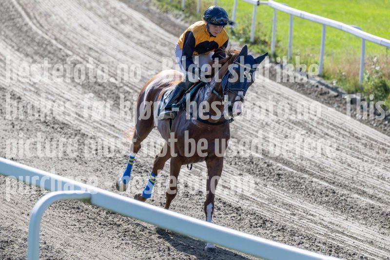 20250917-144915-DSC_5077