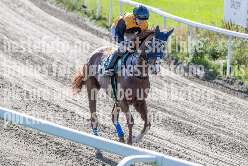 20250917-144915-DSC_5082