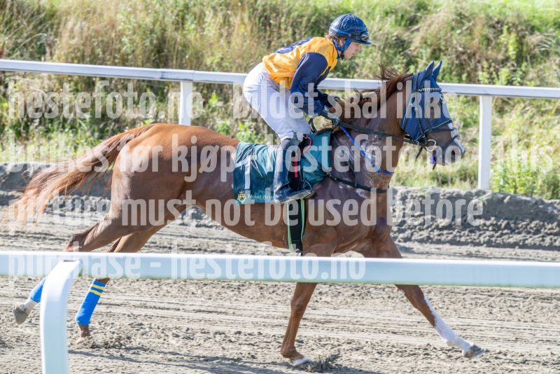 20250917-144917-DSC_5098