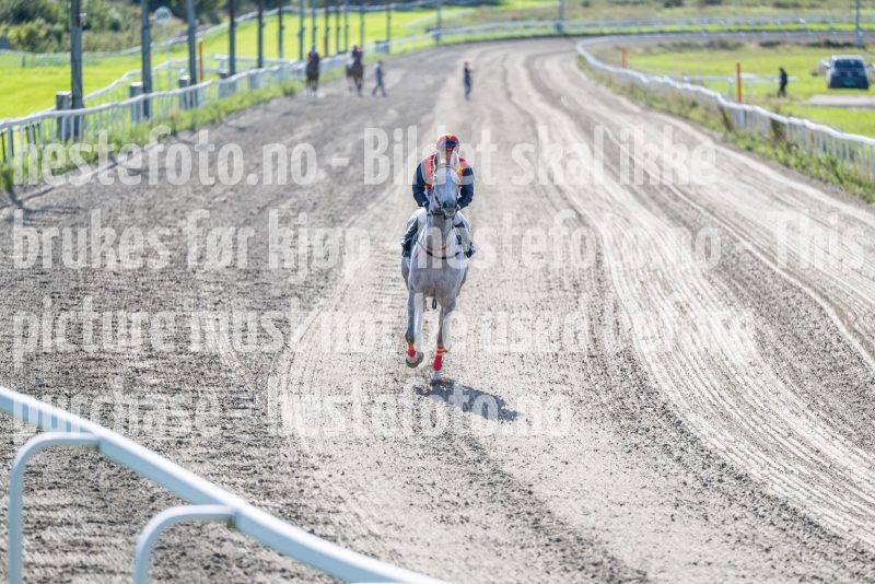 20250917-144930-DSC_5109