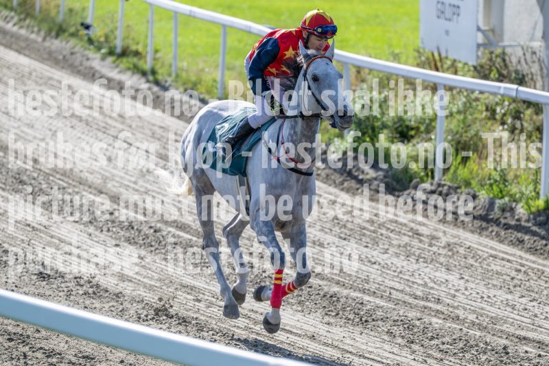 20250917-144933-DSC_5126