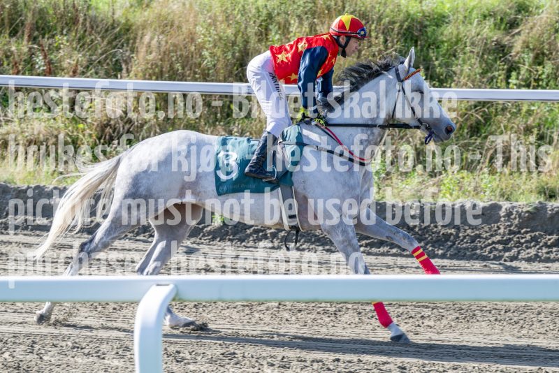 20250917-144935-DSC_5148