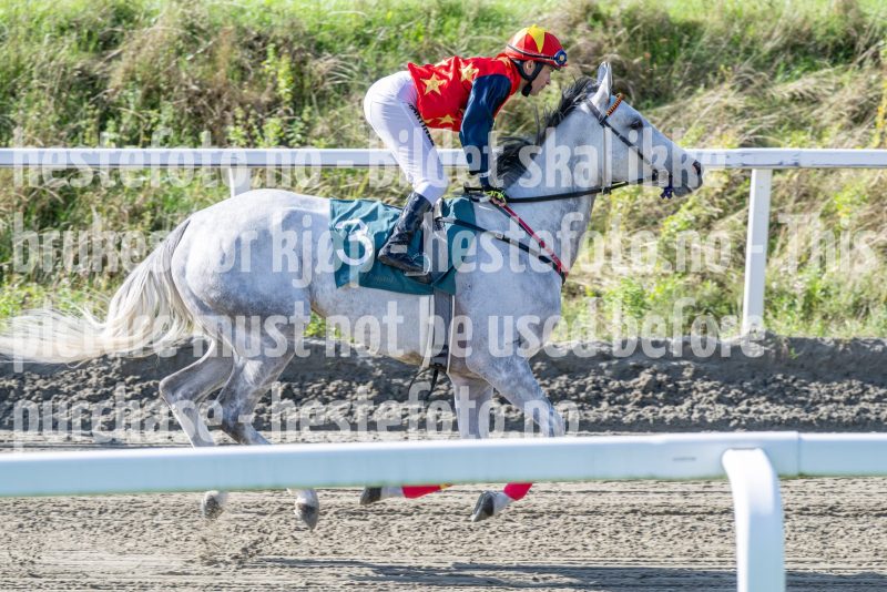 20250917-144935-DSC_5153