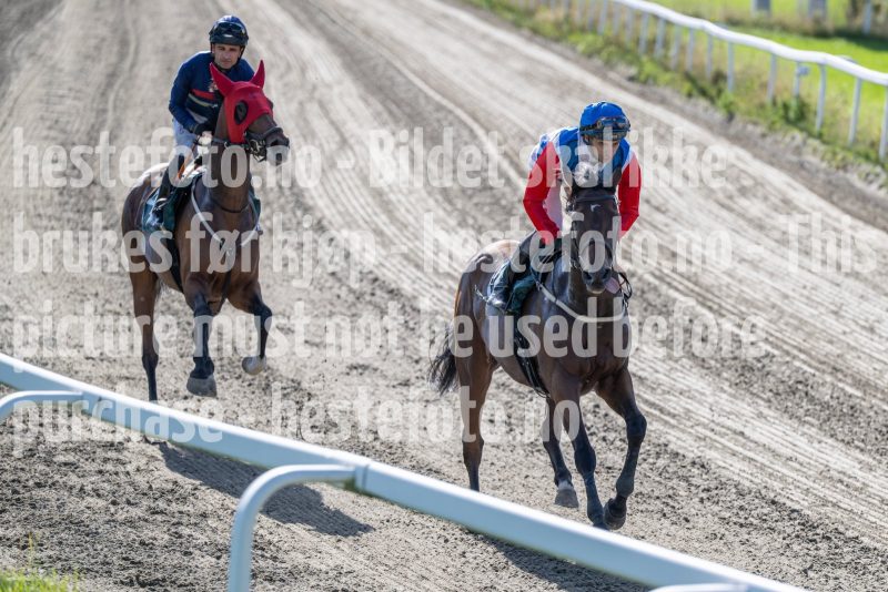 20250917-144954-DSC_5177