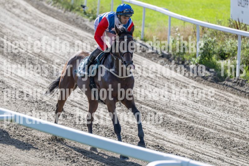 20250917-144955-DSC_5188