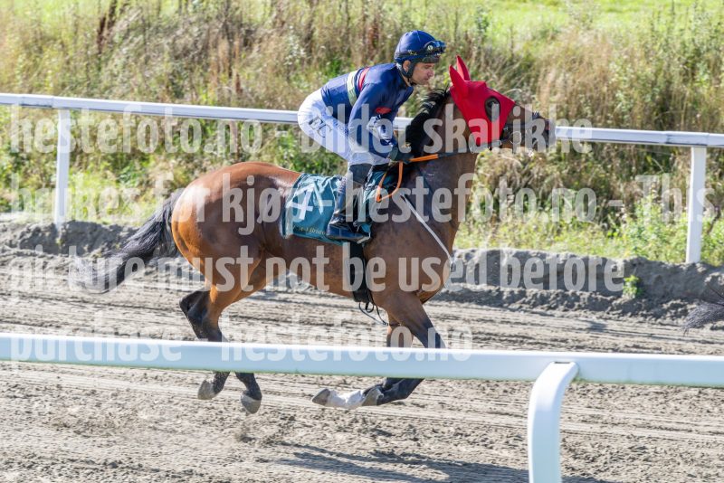 20250917-144957-DSC_5212