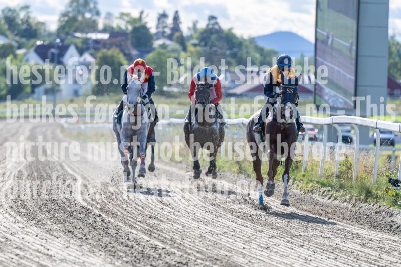 20250917-145713-DSC_5257