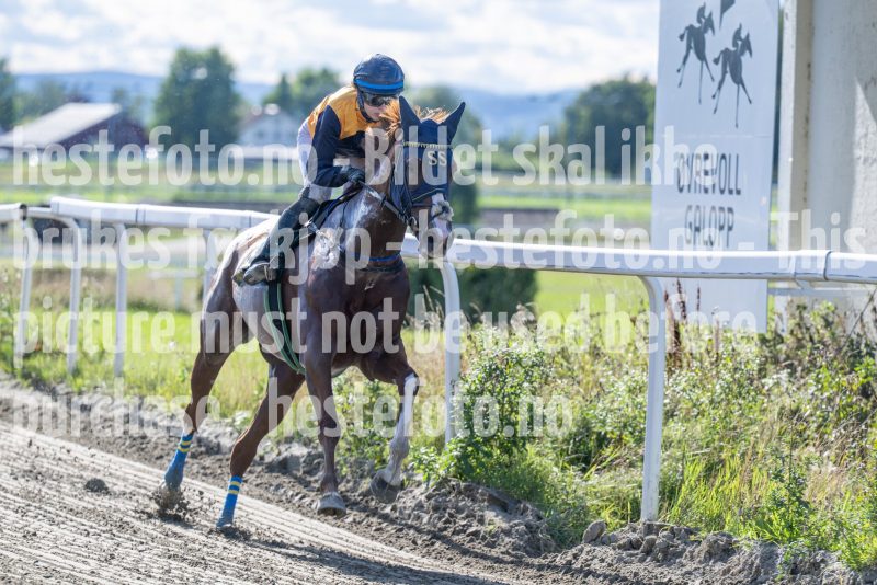 20250917-145715-DSC_5284