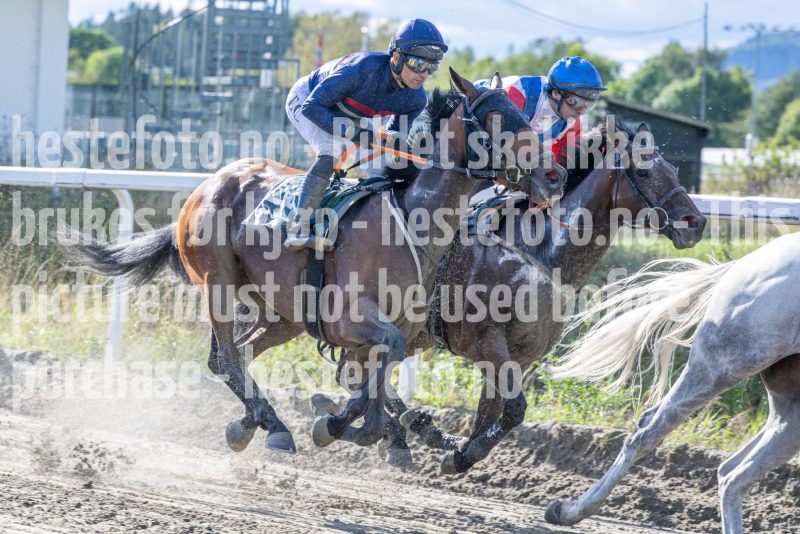 20250917-145717-DSC_5313