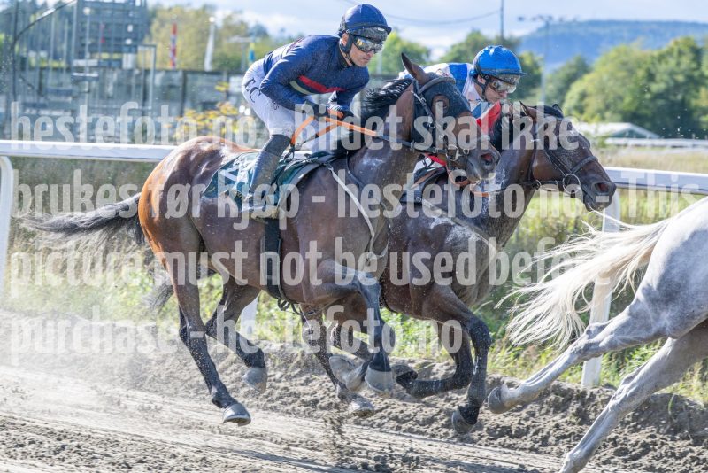 20250917-145717-DSC_5314