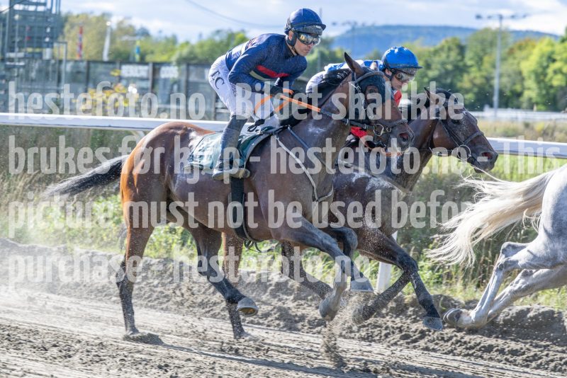 20250917-145717-DSC_5315