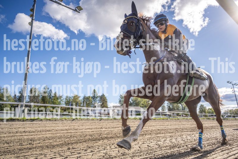 20250917-145725-DSC4506