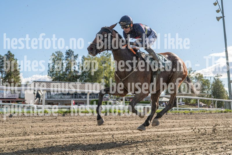 20250917-145809-DSC_7174