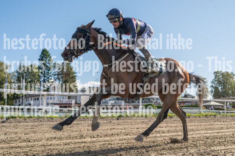 20250917-145809-DSC_7175