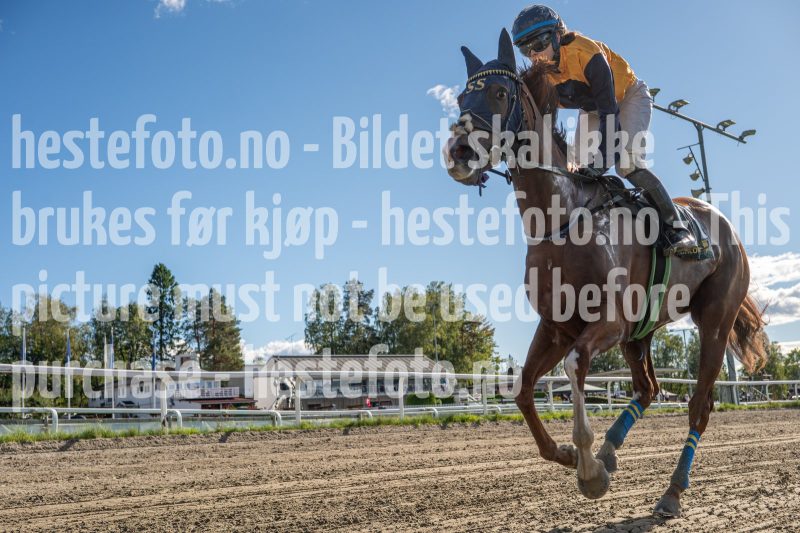 20250917-145816-DSC_7230