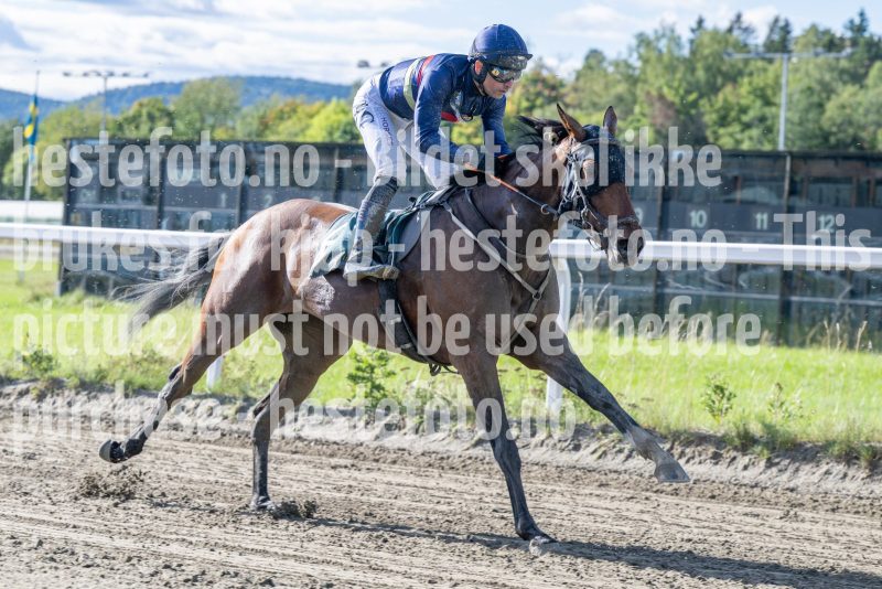 20250917-145843-DSC_5403