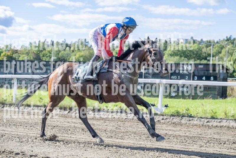 20250917-145846-DSC_5435