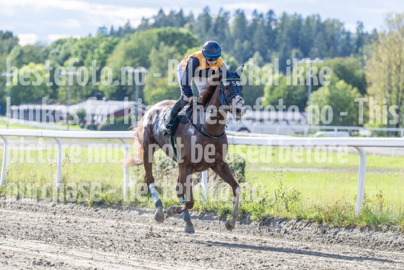 20250917-145848-DSC_5443