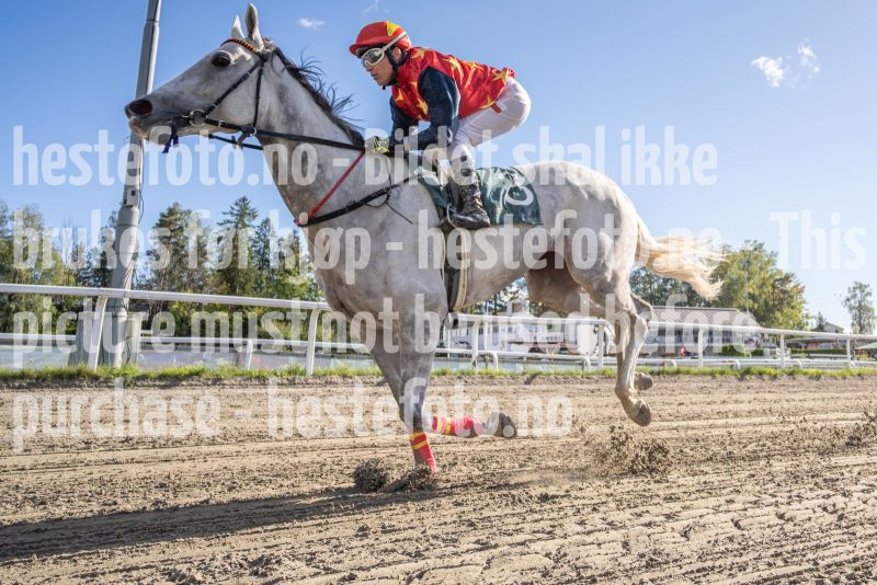 20250917-145854-DSC4552