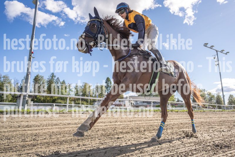 20250917-145902-DSC4565