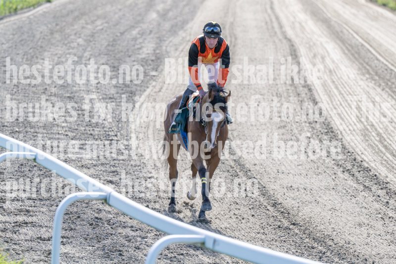 20250917-151418-DSC_5682