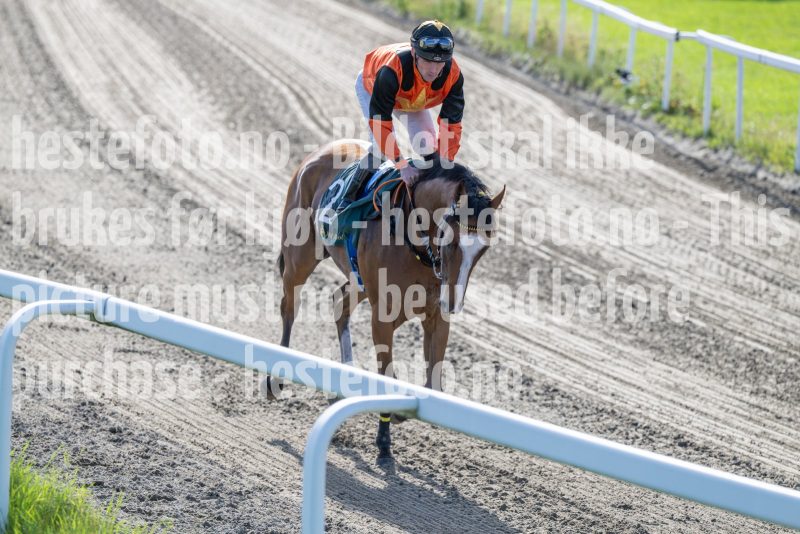 20250917-151420-DSC_5691